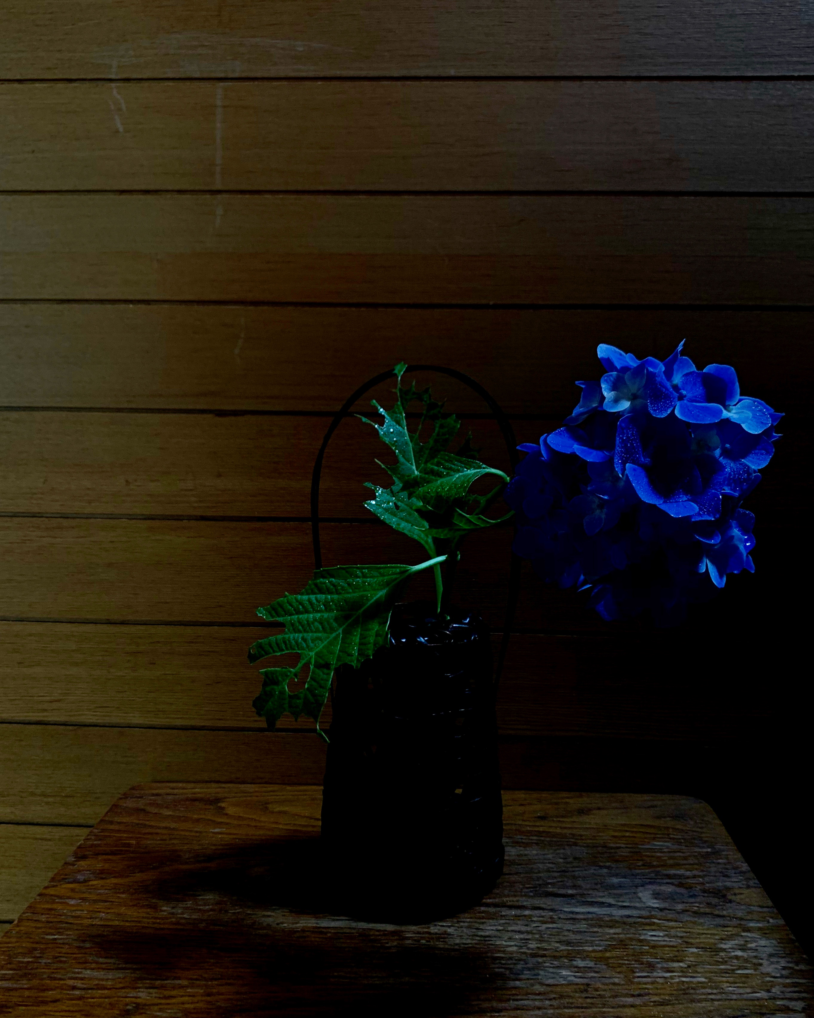 ６月の花・紫陽花をいける